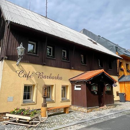 Pension Barborka Bozi Dar Bagian luar foto